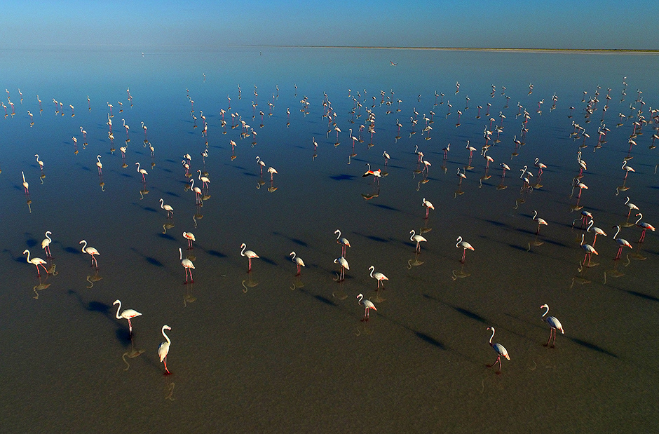 ANADOLIJA/Murat Öner TAŞ