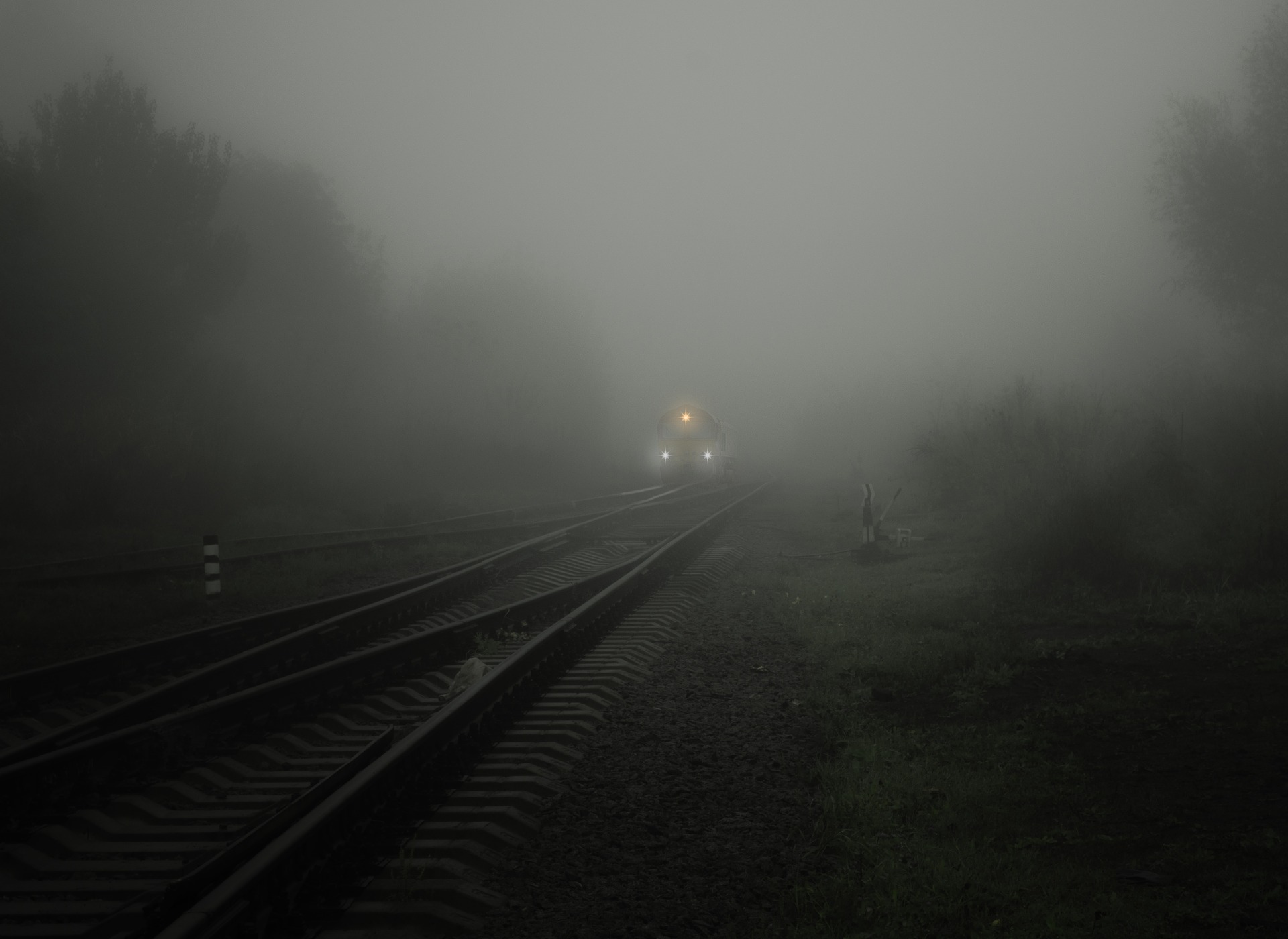 fog-1984057_1920