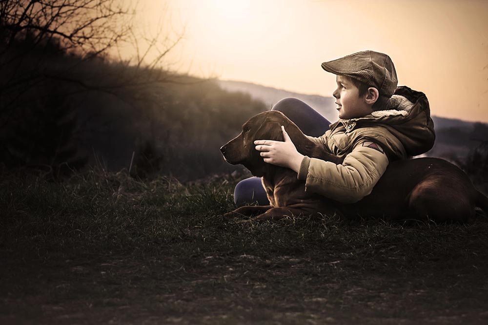 Jelena Simić Petrović