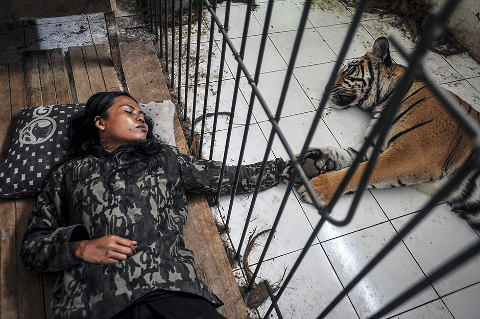 ANADOLIJA/Jefri Tarigan