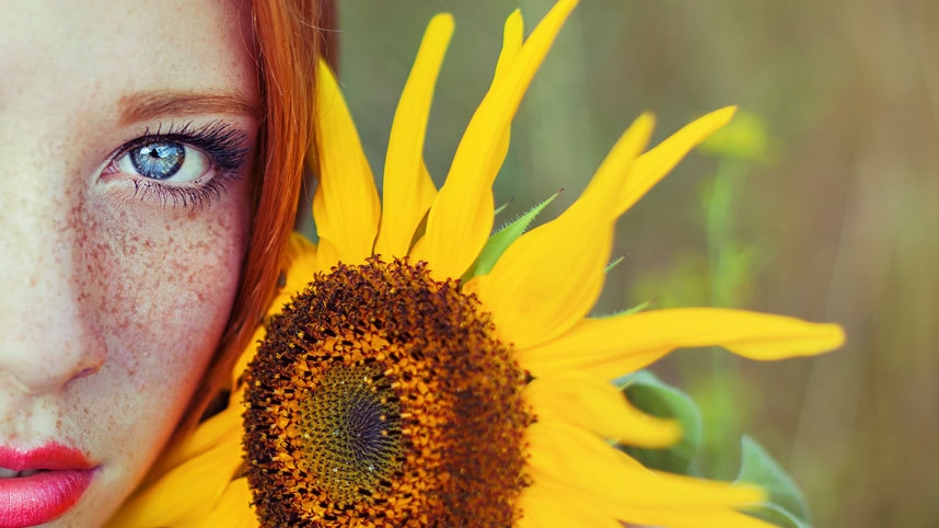 freckled-sunflowe-3392557k-31374.jpeg
