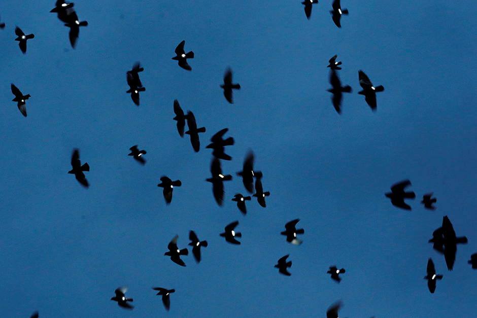 REUTERS/Lucas Jackson