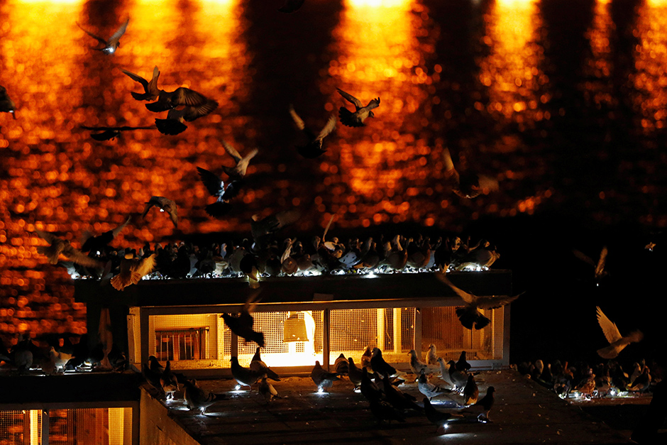 REUTERS/Lucas Jackson