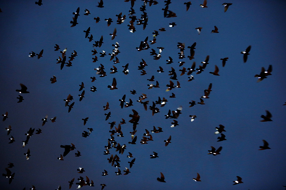 REUTERS/Lucas Jackson