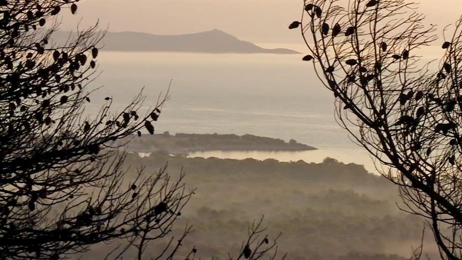 Grcka Mati Atina pozar Foto N1 (18)
