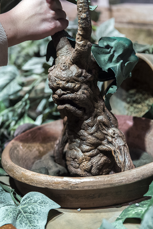 REUTERS/Benoit Tessier