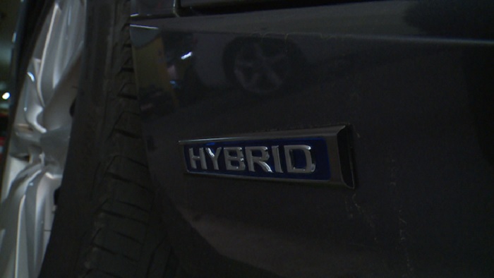hibridi_video
