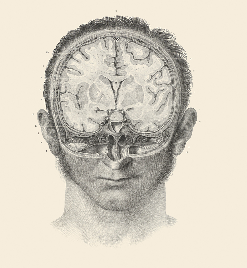 Image © Wellcome Collection