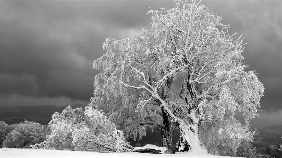 hoarfrost-3146233_1920