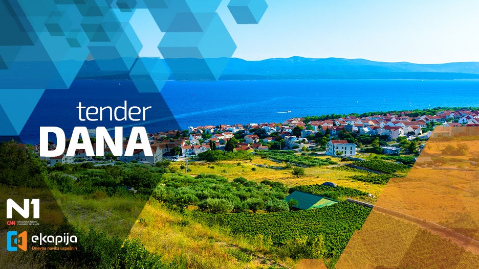 HR tender- brac - Flickr Nick Savchenko