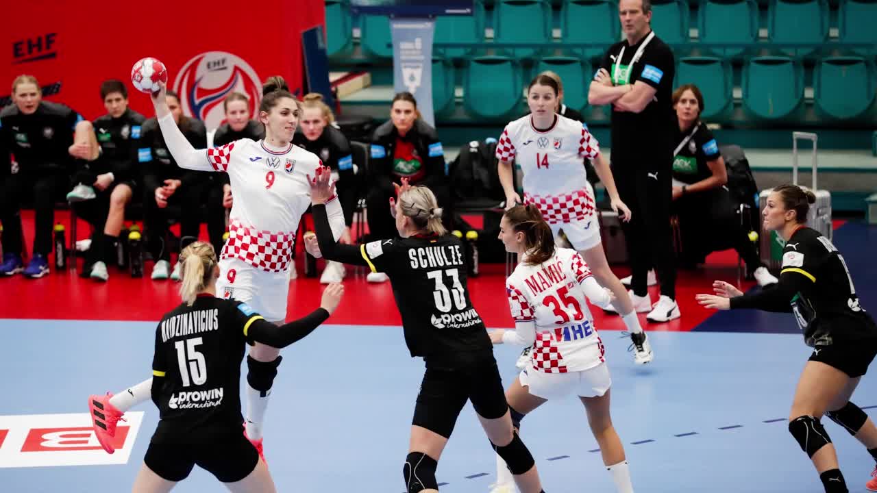 Hrvatske rukometariše