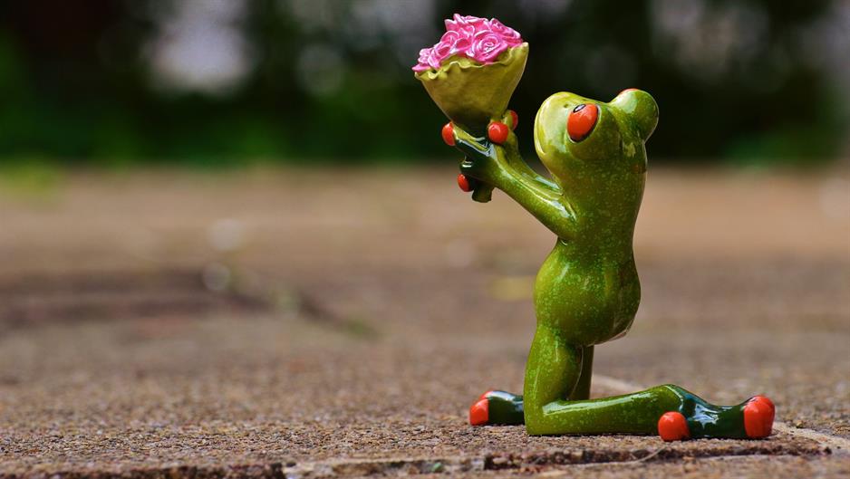 i-beg-your-pardon-927752_1920