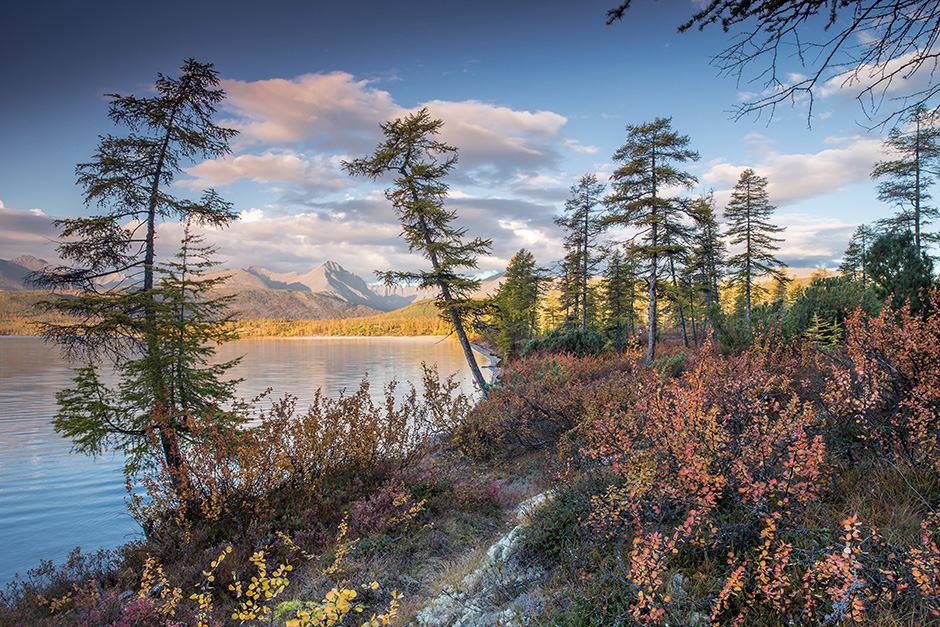 ANADOLIJA/Sergey Anisimov