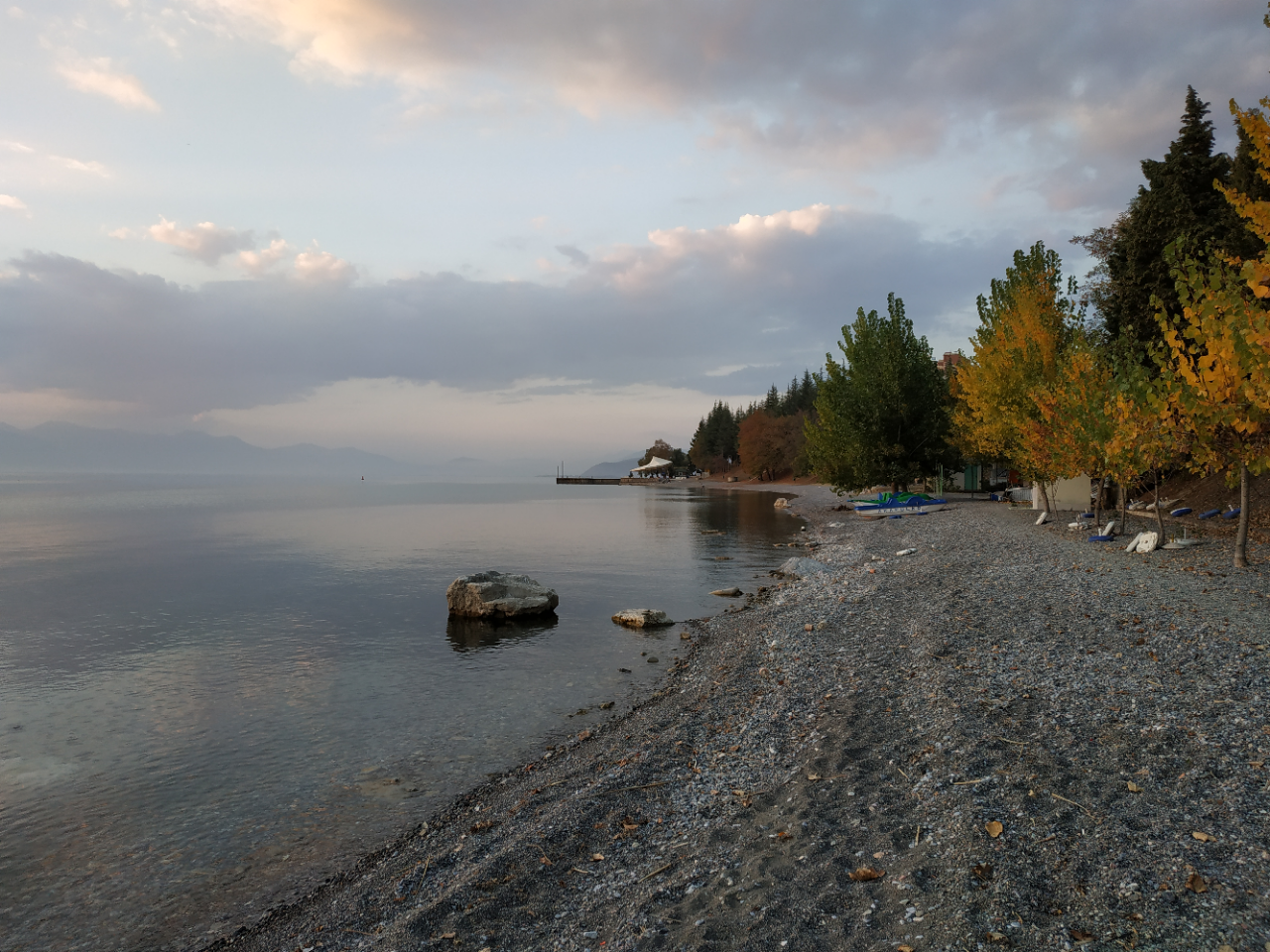 N1/ Jelena Petrović