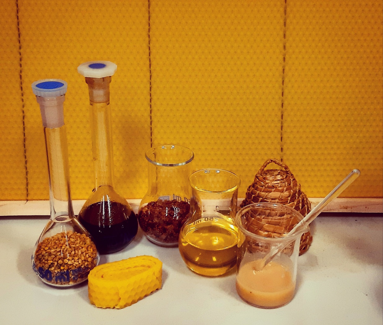 IMG_20200225_112125_791_resized - Copy