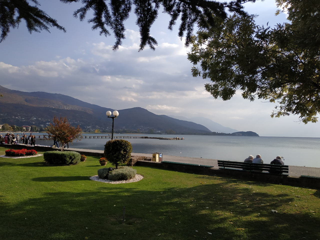 N1/ Jelena Petrović