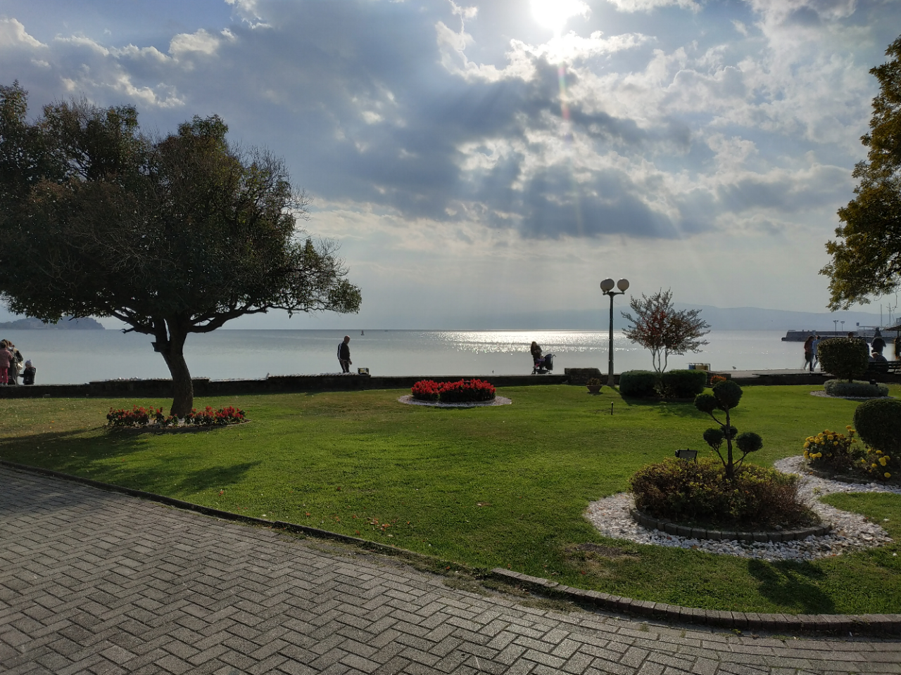 N1/ Jelena Petrović