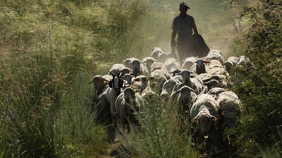 in-xinjiang-2944575_1920