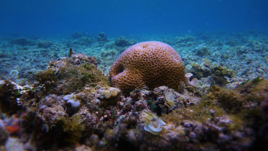 indonesia-990707_1920