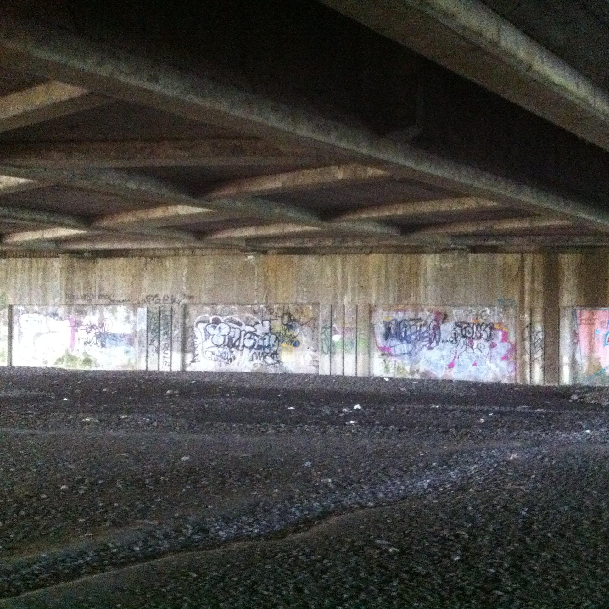 Andreja Žapčić / N1