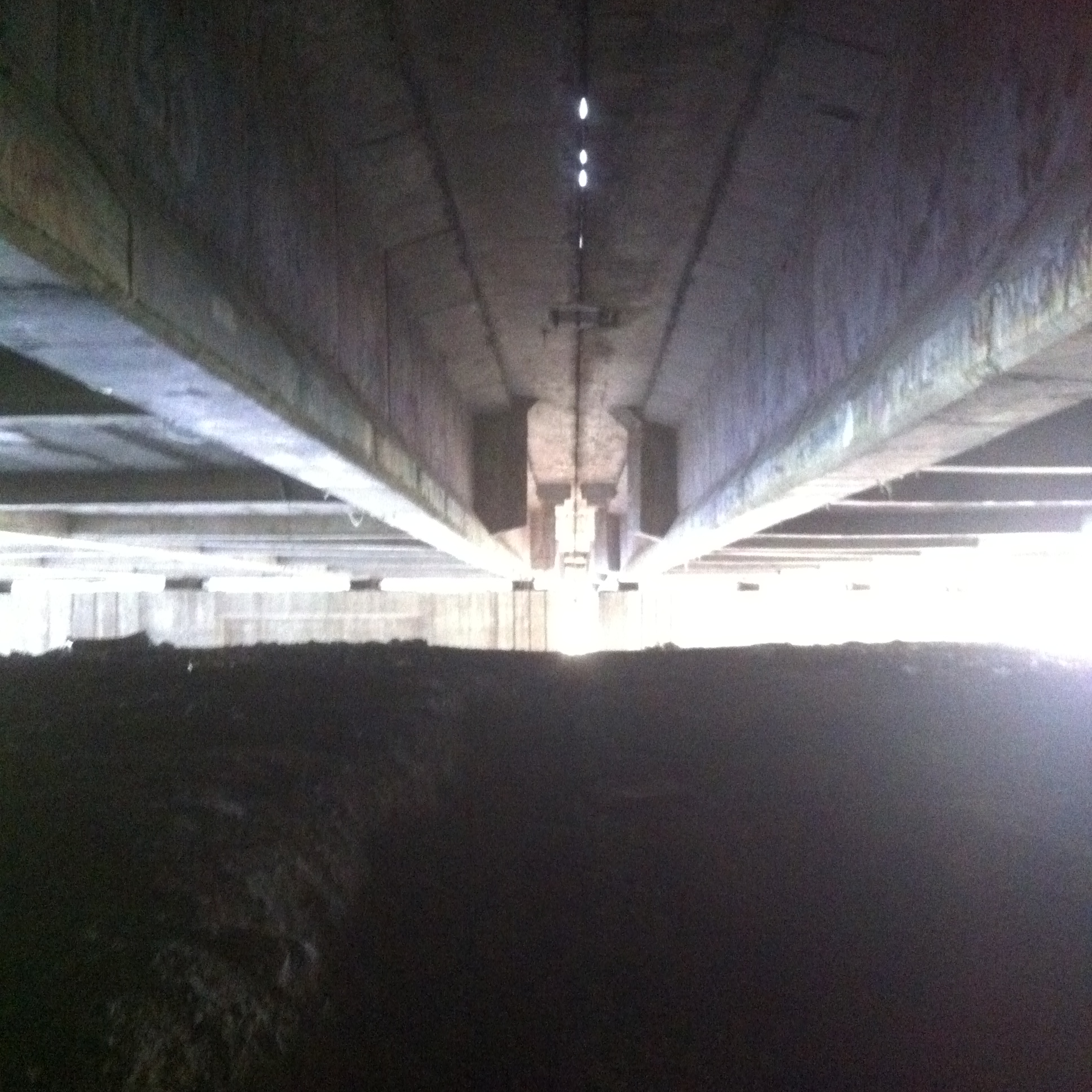 Andreja Žapčić / N1