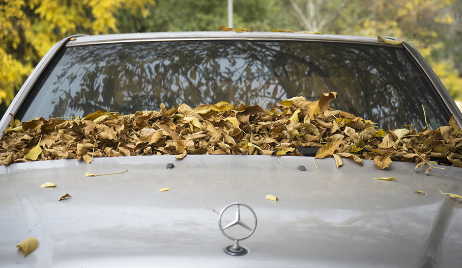 REUTERS/Shamil Zhumatov