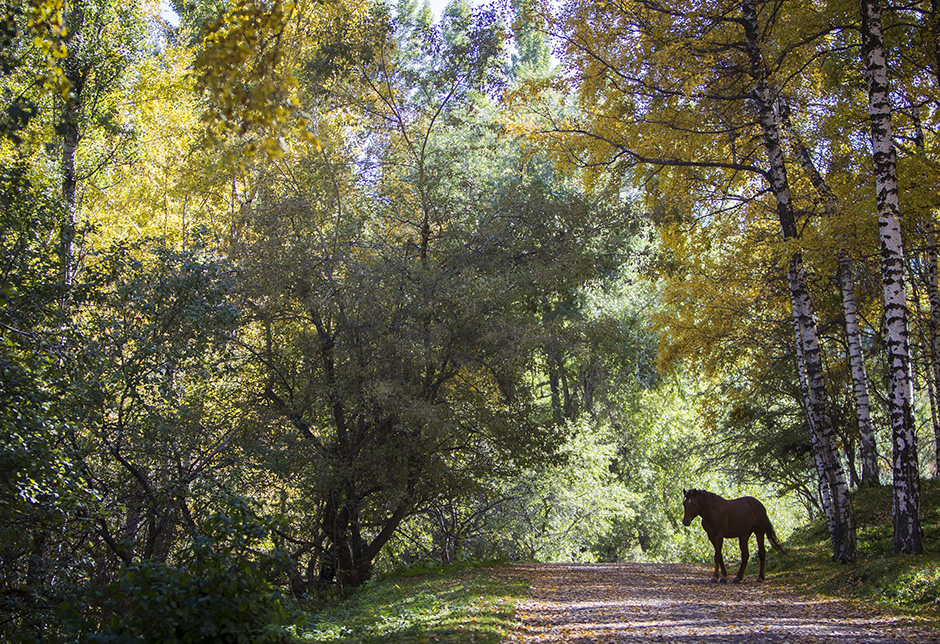 REUTERS/Shamil Zhumatov