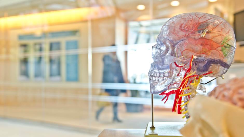 jesse-orrico-60373-unsplash