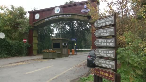 Još traje potraga za tijelom saudijskog novinara