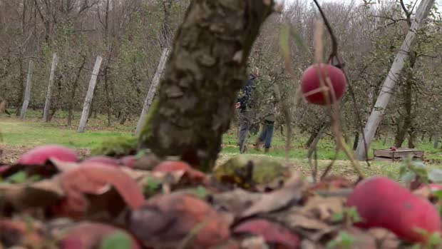 Kakva je budućnost hrvatske poljoprivrede?