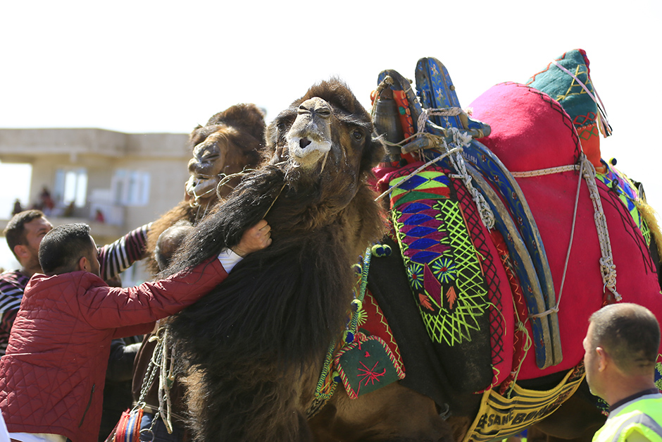 ANADOLIJA/Mustafa Çiftçi