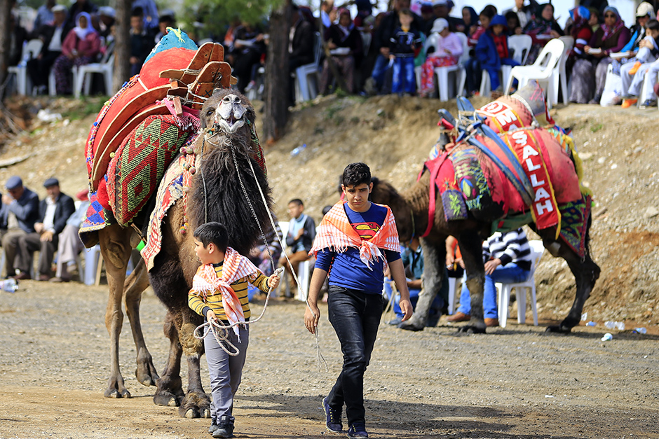 ANADOLIJA/Mustafa Çiftçi