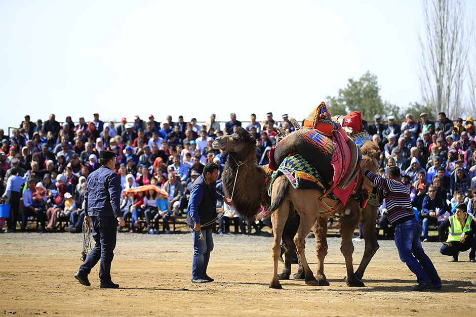 ANADOLIJA/Mustafa Çiftçi