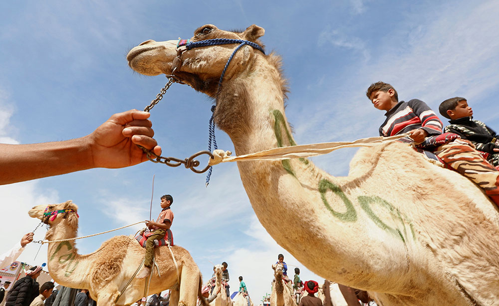 AFP/AMR ABDALLAH DALSH