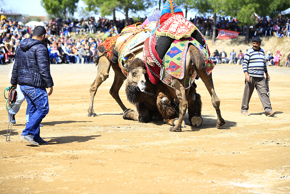 ANADOLIJA/Mustafa Çiftçi