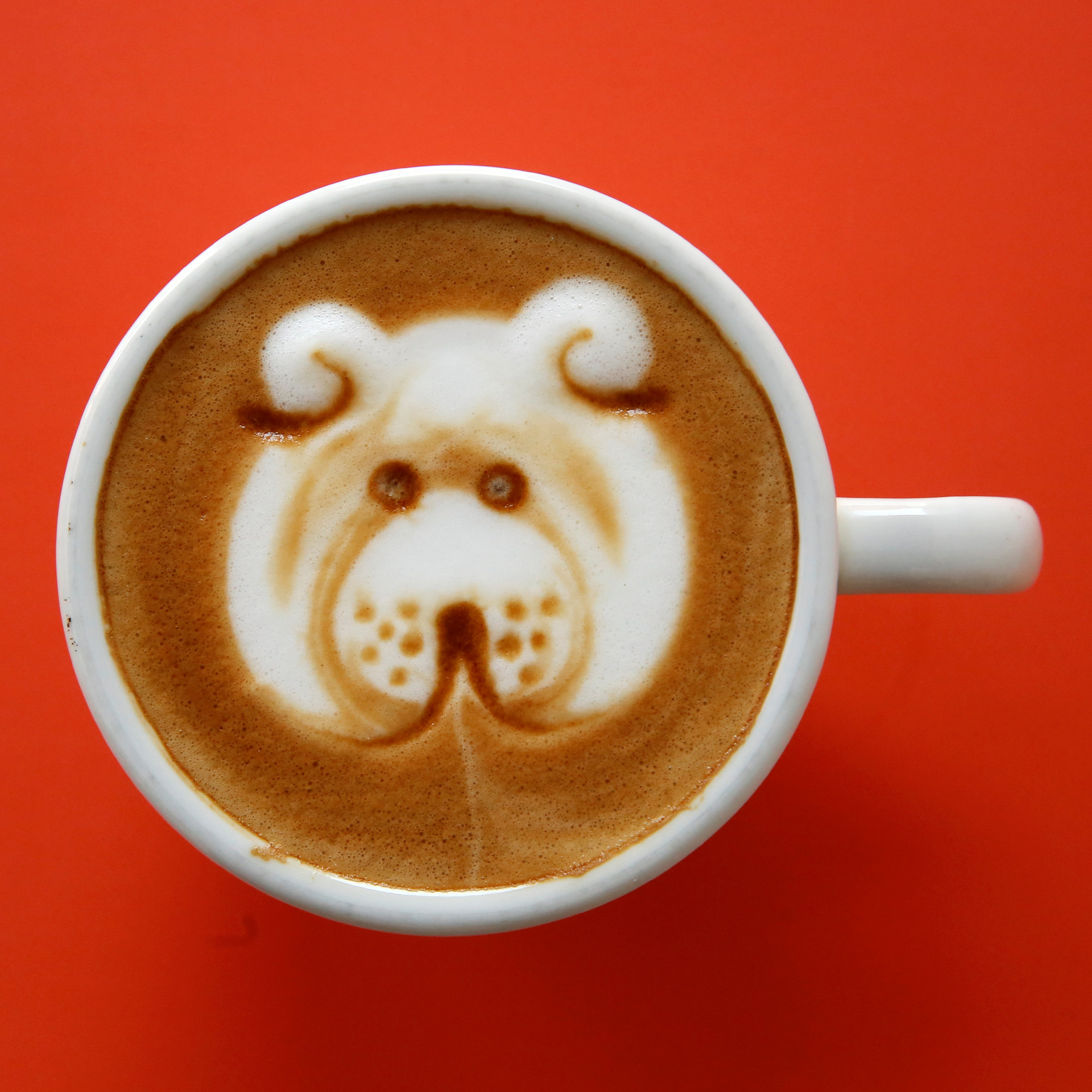 kapučino, kapućino