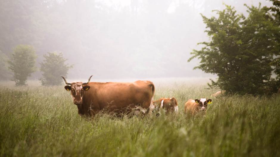 karsten-wurth-karsten-wuerth-drdj51vHFkg-unsplash