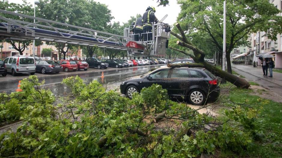 kiša, stablo, vatrogasci, zagreb