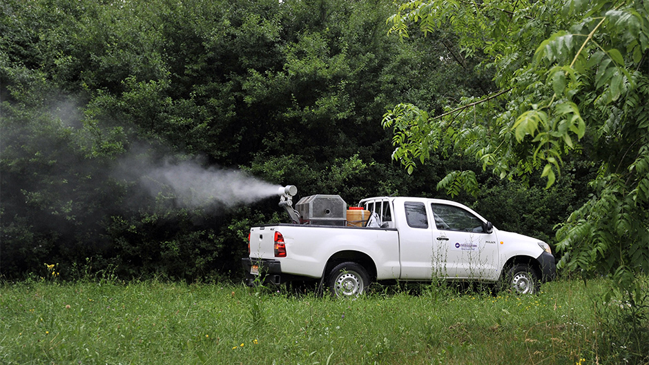 komarci_zaprasivanje2-170615