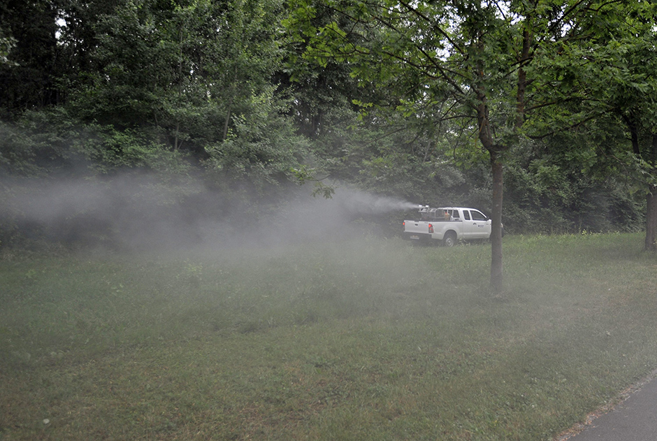 komarci_zaprasivanje5-170615