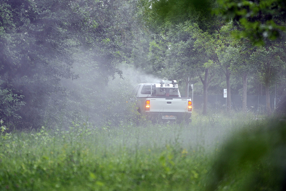 komarci_zaprasivanje6-170615