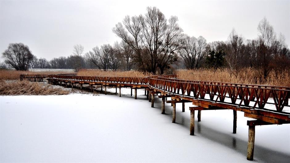 kopacki-rit-1144191_960_720