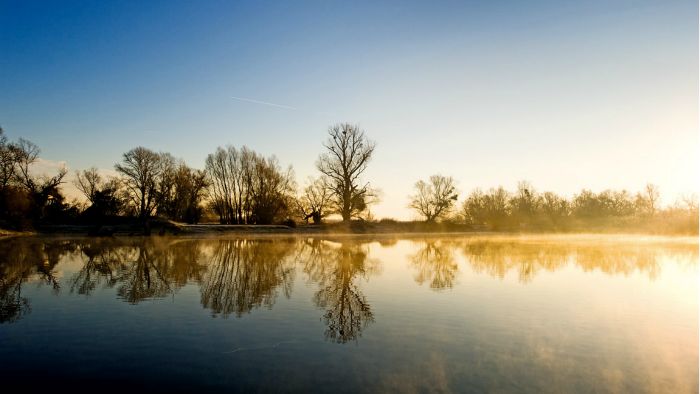 kopacki rit marin topic