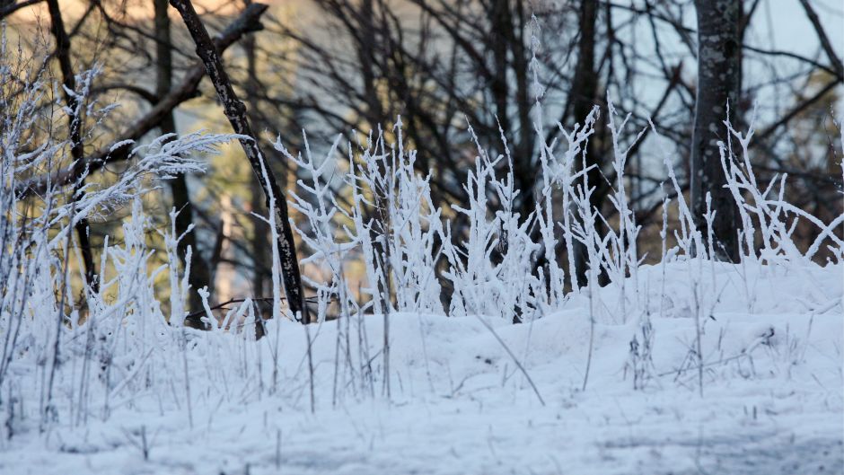 kotar_cropix_teacimas_5