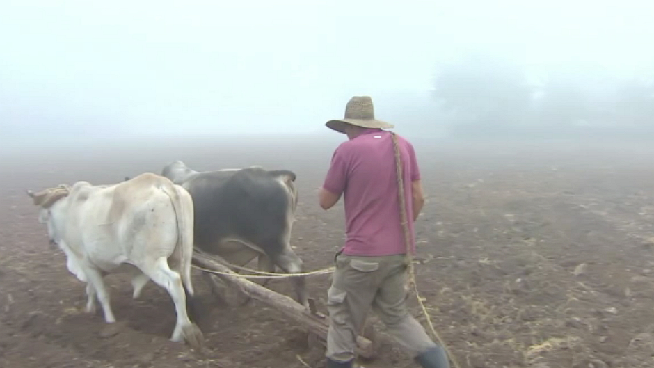 Kuba, poljoprivrednik