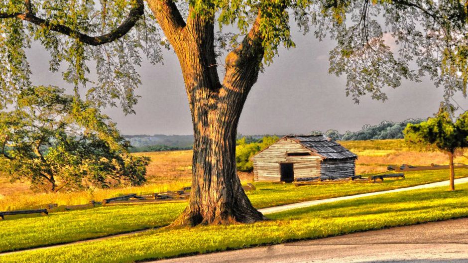 kuca pored drvo morg