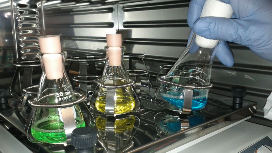 laboratorij_znanost_morguefile