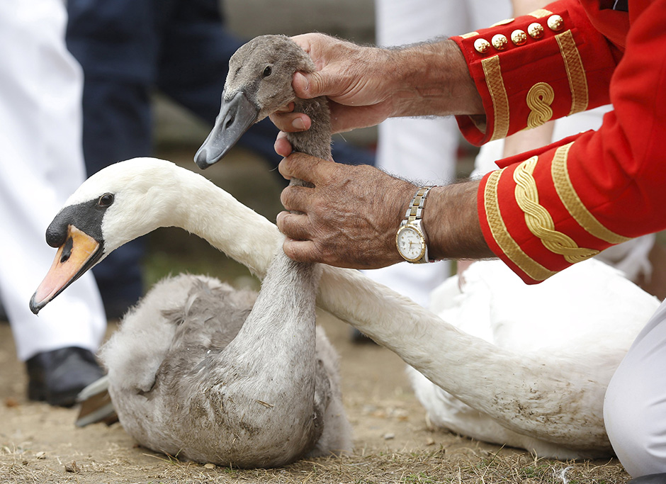 Reuters/Peter Nicholls