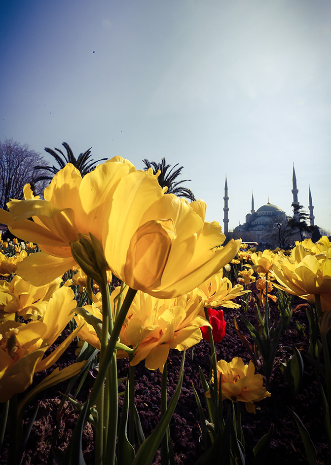 ANADOLIJA/Şebnem Coşkun