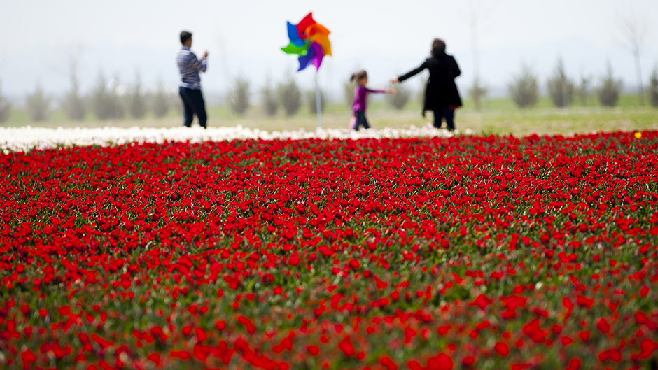 ANADOLIJA/Orhan Akkanat